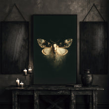 Skeleton Moth Skull Art Print Dark Academia Vintage Poster