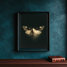 Skeleton Moth Skull Art Print Dark Academia Vintage Poster