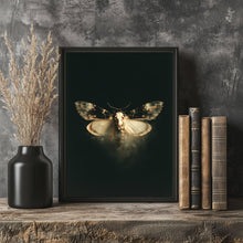 Skeleton Moth Skull Art Print Dark Academia Vintage Poster
