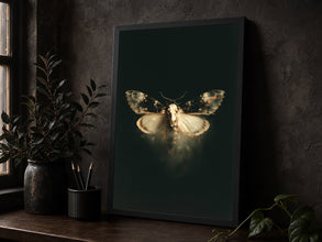 Skeleton Moth Skull Art Print Dark Academia Vintage Poster