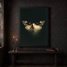 Skeleton Moth Skull Art Print Dark Academia Vintage Poster